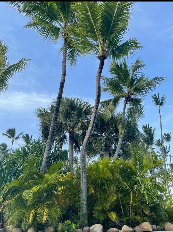Yonah Comfort Punta Cana, Shared Apartment Екстер'єр фото